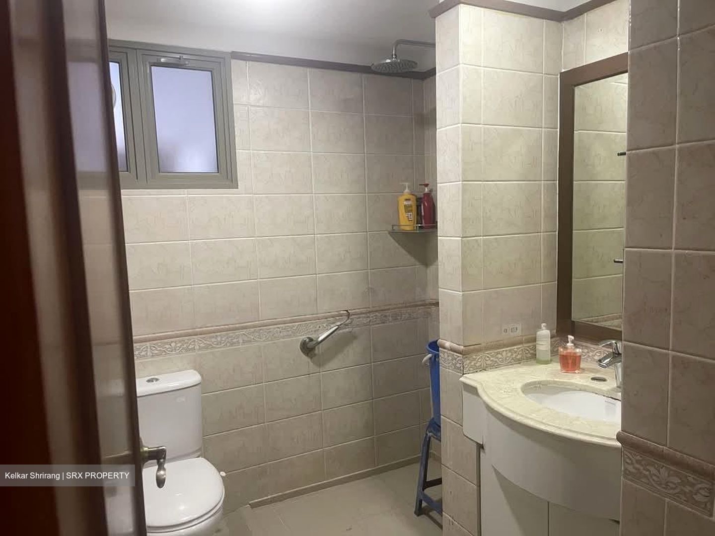 Parc Vista (D22), Condominium #571301831